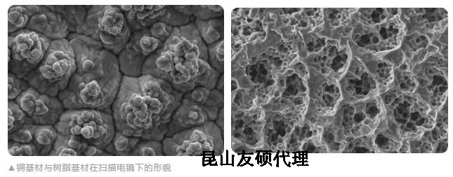 南充蔡司南充扫描电镜